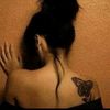 user4161371986525