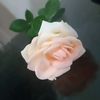 rahmar2458