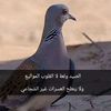 user86000693825214
