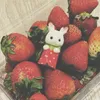 bonqiuoilaiu.0
