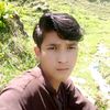 fazan.magray4