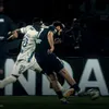 tvlipo_7