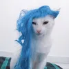 possessionofashnikko