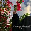 user9929060184003