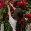 rizwanali156745js