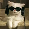 official_potchiiii