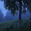 raphxw21
