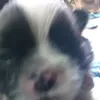 d4ng3rskull