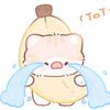 tupaii_cuttee