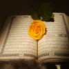 user1717671303424
