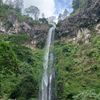 golek_upo229