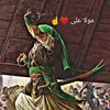 syedalihassanshahg51214