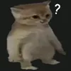 lnnn.ni