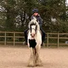 lucy.priv170212