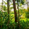 khong_nho_ten_1