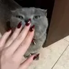 o_nb8