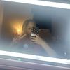 pr3face_cara