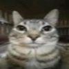 user524095473