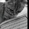 _urazbaevnaaaa_