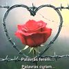 antonio_conceicao23