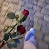 fi_ll8