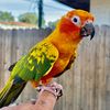 latinlover133