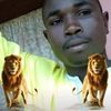 ahmed.tize