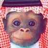 quran.human