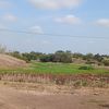 yzamora98