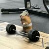motivacion18101