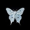 cloud.moth