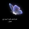 rrokibbaz7q