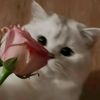 naomy_328