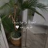 mayar.mohammed739