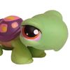 turtlesandturtoise
