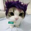 zzx.facu1