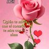 candidarosa720