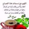 user95861616234