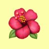 leah_jungquist