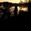 kristinecapcio03