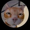 hanzsoftspoken15