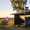 ananasika7