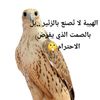 user269990129308