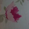 _santosoliveira95