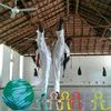 wsanthakumara618
