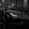 blonsyka45309