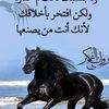 saifhussein077