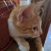 aaarrggoo