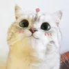 meomeocute004