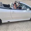 cat.morel8